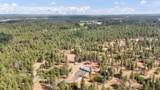 16621 Sherman Rd - Photo 35