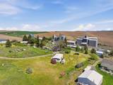 36602 Forsythe Ave - Photo 45