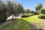 805 Alice Ave - Photo 4