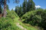137 Tall Pine Loop - Photo 23