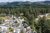 137 Tall Pine Loop - Photo 30
