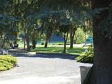 16021-Lot 38 Badger Ln - Photo 33