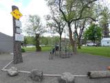 16021-Lot 38 Badger Ln - Photo 35