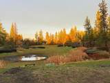21517 Cameron Rd - Photo 32