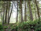 4598 Terrace Rd - Photo 13