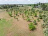 32917 Williams Ave - Photo 43