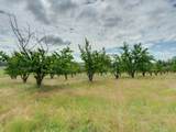 32917 Williams Ave - Photo 44