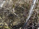 17208 Blanchard Rd - Photo 10