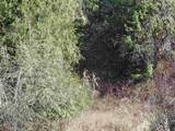 17208 Blanchard Rd - Photo 18
