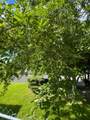 3306 4th Ct - Photo 27