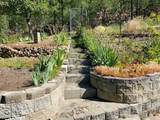 6494 Myrtle Dr - Photo 17