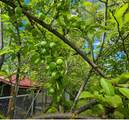 4462 Swenson Rd - Photo 34