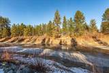 136 Tall Pine Loop - Photo 30