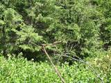 4482 Old E. Springdale Rd - Photo 14