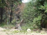 4482 Old E. Springdale Rd - Photo 6