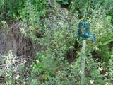 4482 Old E. Springdale Rd - Photo 10