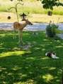 1030 3RD Ave - Photo 29