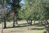 27877 Wild Turkey E Ln - Photo 18