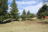 27877 Wild Turkey E Ln - Photo 28