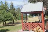 27877 Wild Turkey E Ln - Photo 46
