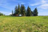 11213 Cameron Rd - Photo 42