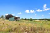 32002 Spotted Rd - Photo 28