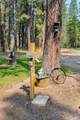 31315 Cedar Rd - Photo 46