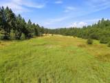 2132 Nicholson Rd - Photo 34