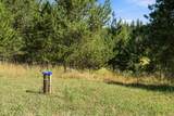 2132 Nicholson Rd - Photo 36