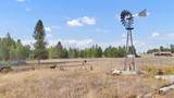 38911 Newport Hwy - Photo 33