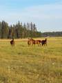 5314 Hattery-Owens Rd - Photo 27