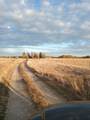 5314 Hattery-Owens Rd - Photo 28