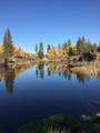 21517 Cameron Rd - Photo 33