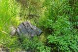 4151 Grouse Creek Rd - Photo 21