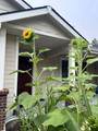 6282 Bluebird Way - Photo 33