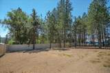 3402 Yearling Rd - Photo 45