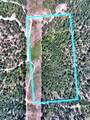 342XX Waldrons Ln - Photo 6
