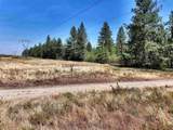 342XX Waldrons Ln - Photo 9