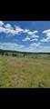 11707 Tallman Rd - Photo 12