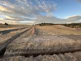 11707 Tallman Rd - Photo 3