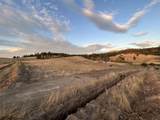 11707 Tallman Rd - Photo 6