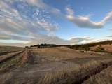 11707 Tallman Rd - Photo 7