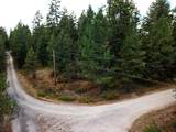 11618 Dusty Ln - Photo 2