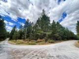 11618 Dusty Ln - Photo 18