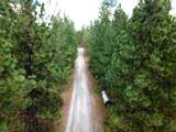 11618 Dusty Ln - Photo 3