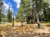 11618 Dusty Ln - Photo 22