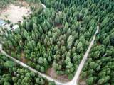 11618 Dusty Ln - Photo 8