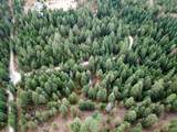 11618 Dusty Ln - Photo 10