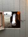 29412 Cornwall Rd - Photo 39