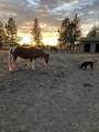 29412 Cornwall Rd - Photo 40